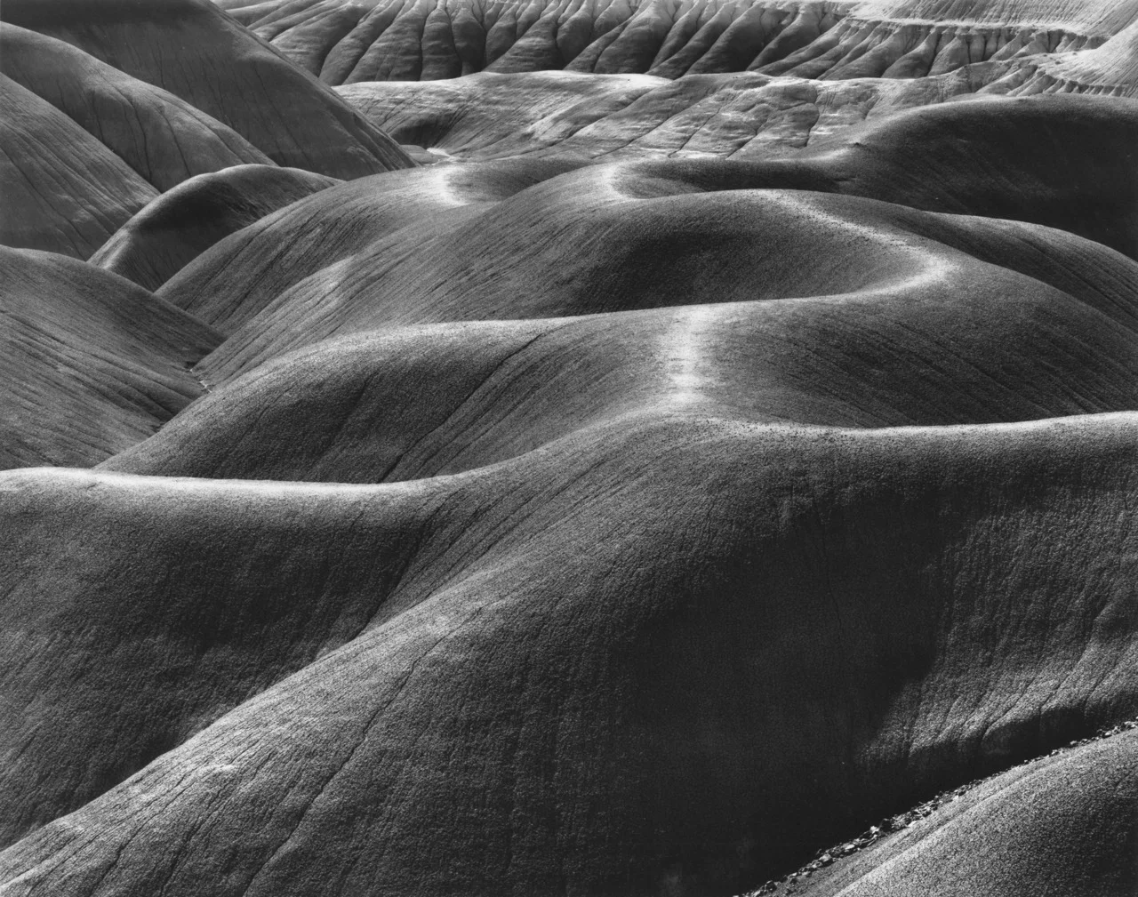 Painted Desert.jpg