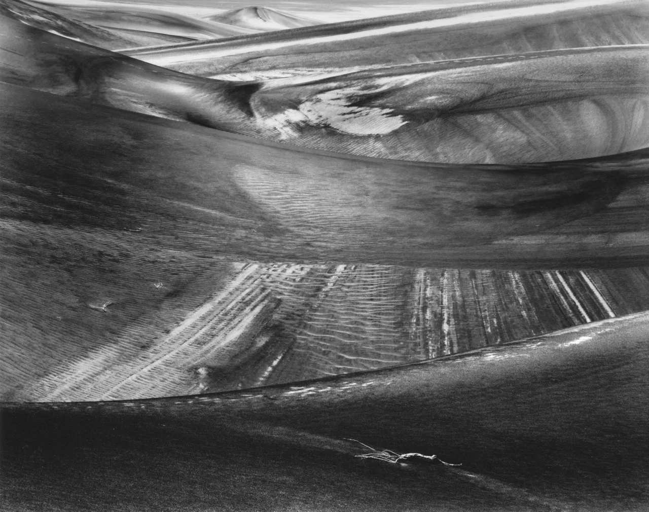 Wet Dune Fantasy 2.jpg