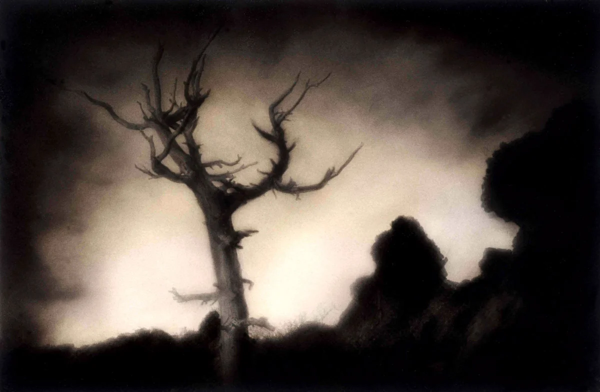 Stumped 1200.jpg