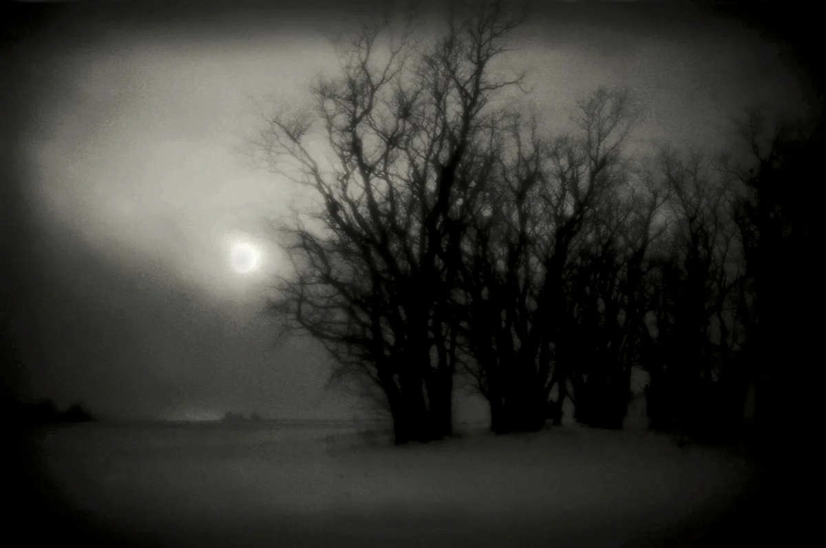 WinterLandscape,Upstate NY 1200.jpg