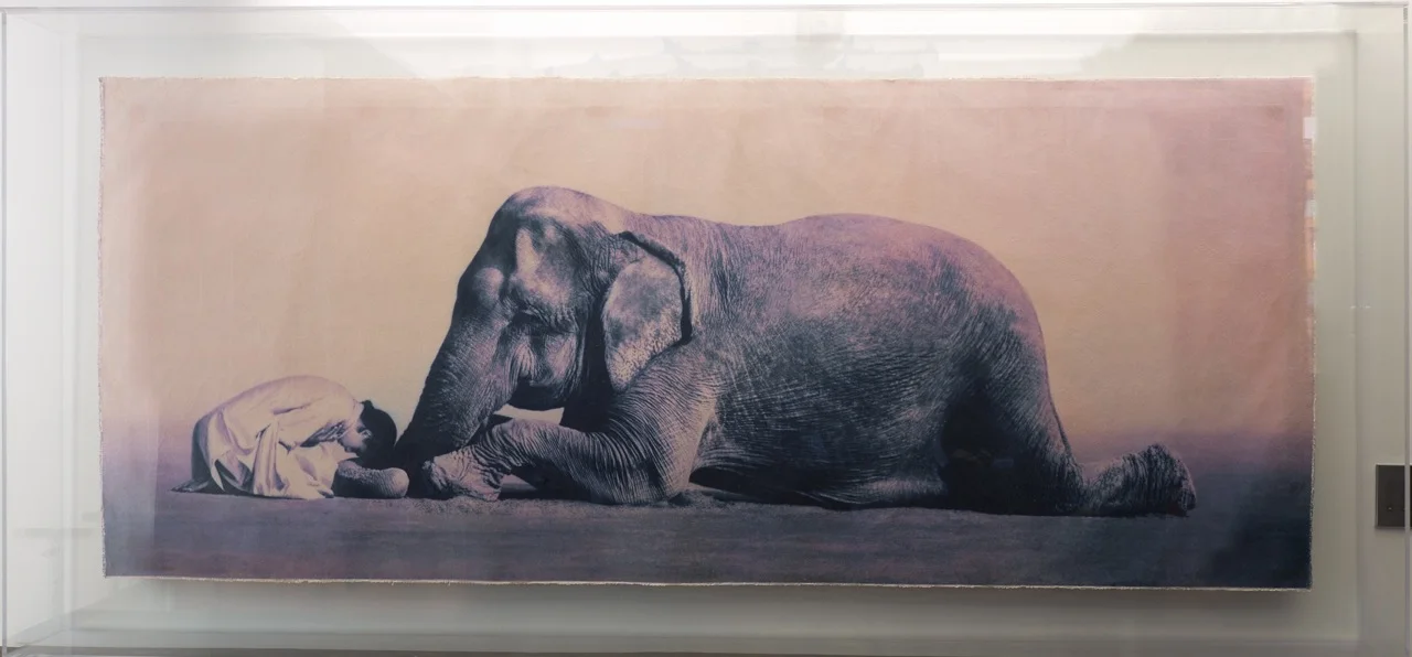 Gregory Colbert Man praying to Elephant