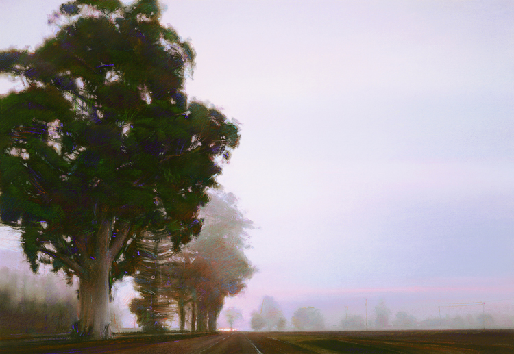 Big Eucalyptus.jpg