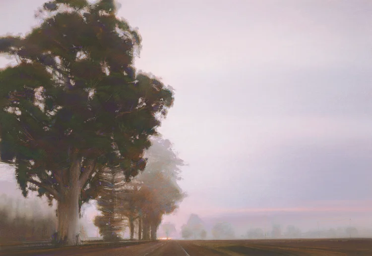 Big Eucalyptus.jpg