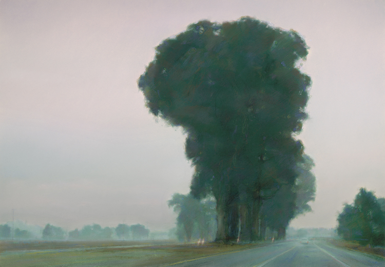Morning Fog.jpg