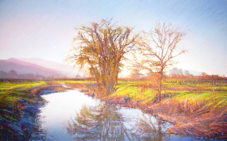 Napa Creek.jpg