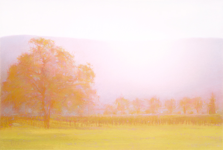 Persimmon Vineyard.jpg
