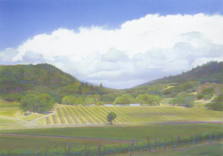 Spring Vineyard.jpg