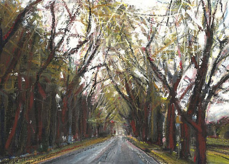 Twentynine Trees.jpg