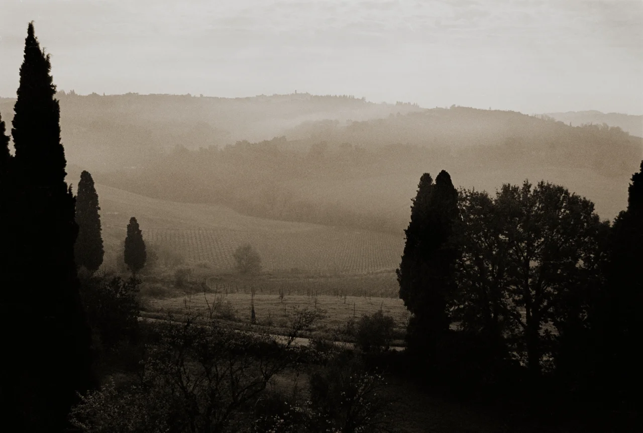 Florence Hillside sepia.jpg