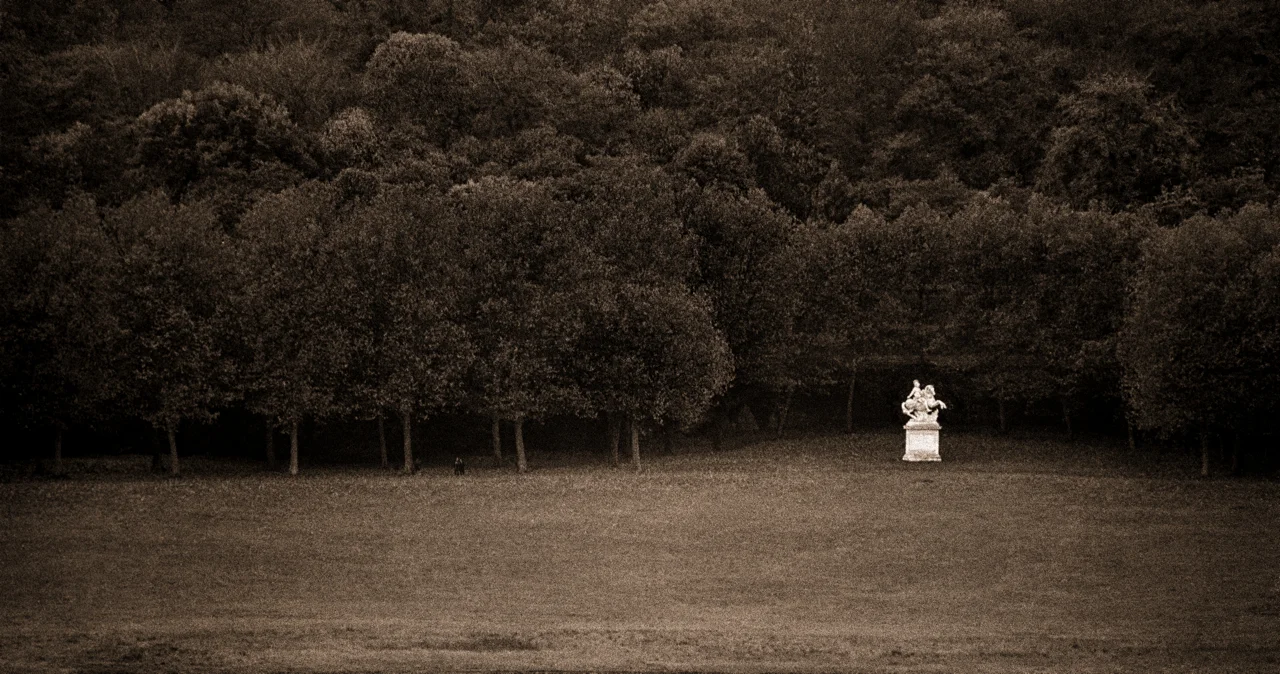 Versailles Contemplation sepia.jpg