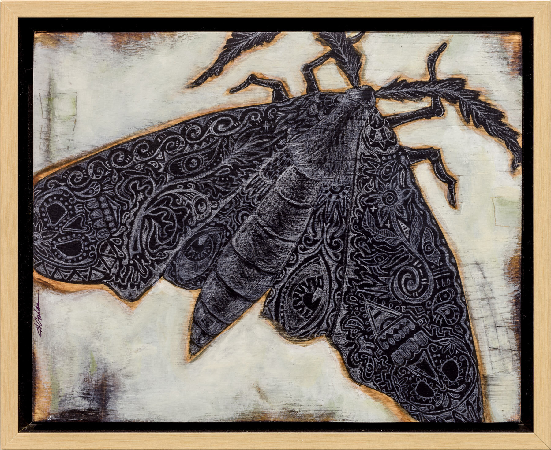 HG_Skull Moth.jpg