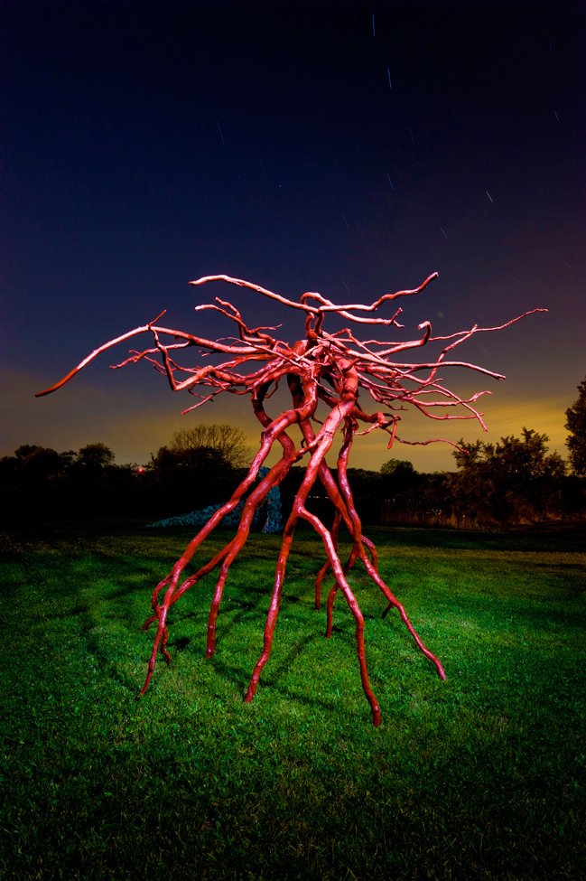 Steve Tobin Red Bronze-Roots.jpg