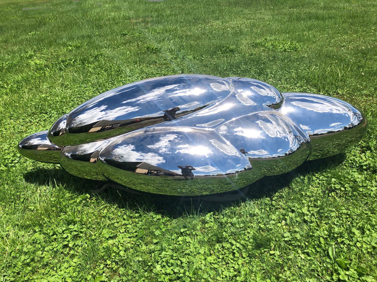 Steve-Tobin-Polished-Steel-Clouds-10.jpg