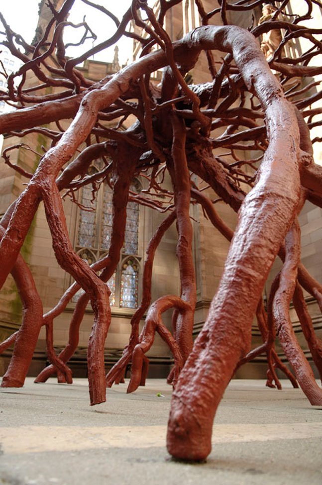Trinity-Root-Steve-Tobin-03.jpg