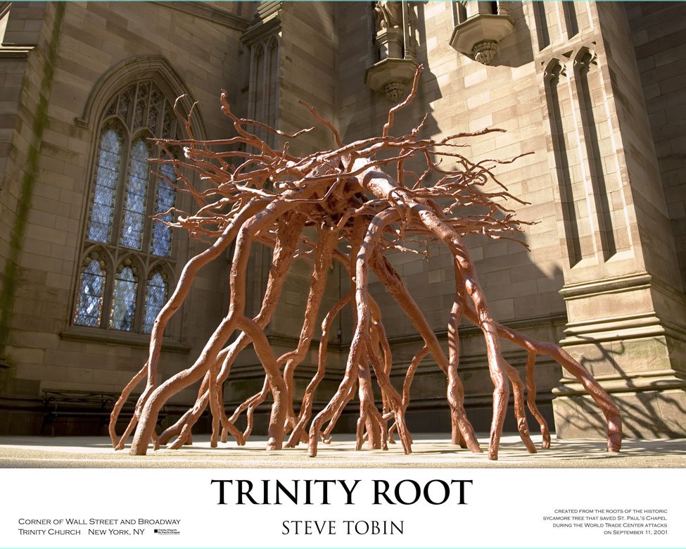 Trinity-Root-Steve-Tobin-06.jpg