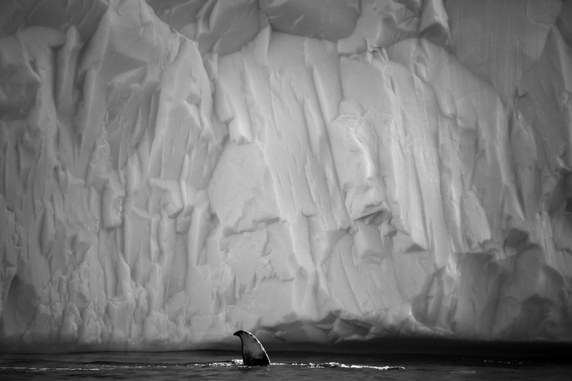 Latitude 66 - Arctic Expedition & Grand Reopening - 2023
