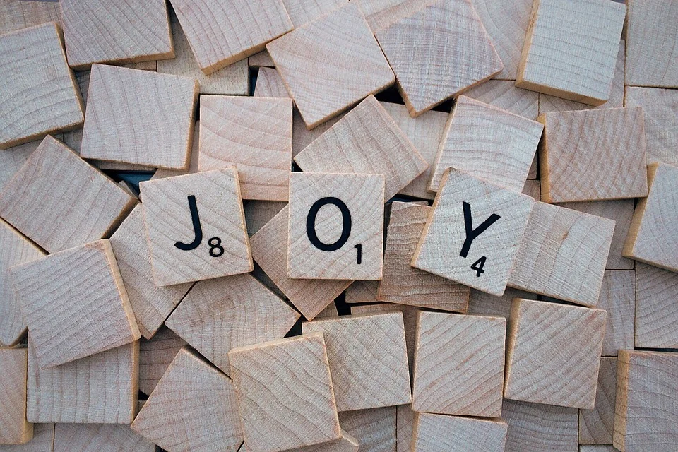 joy-1804593_960_720.jpg