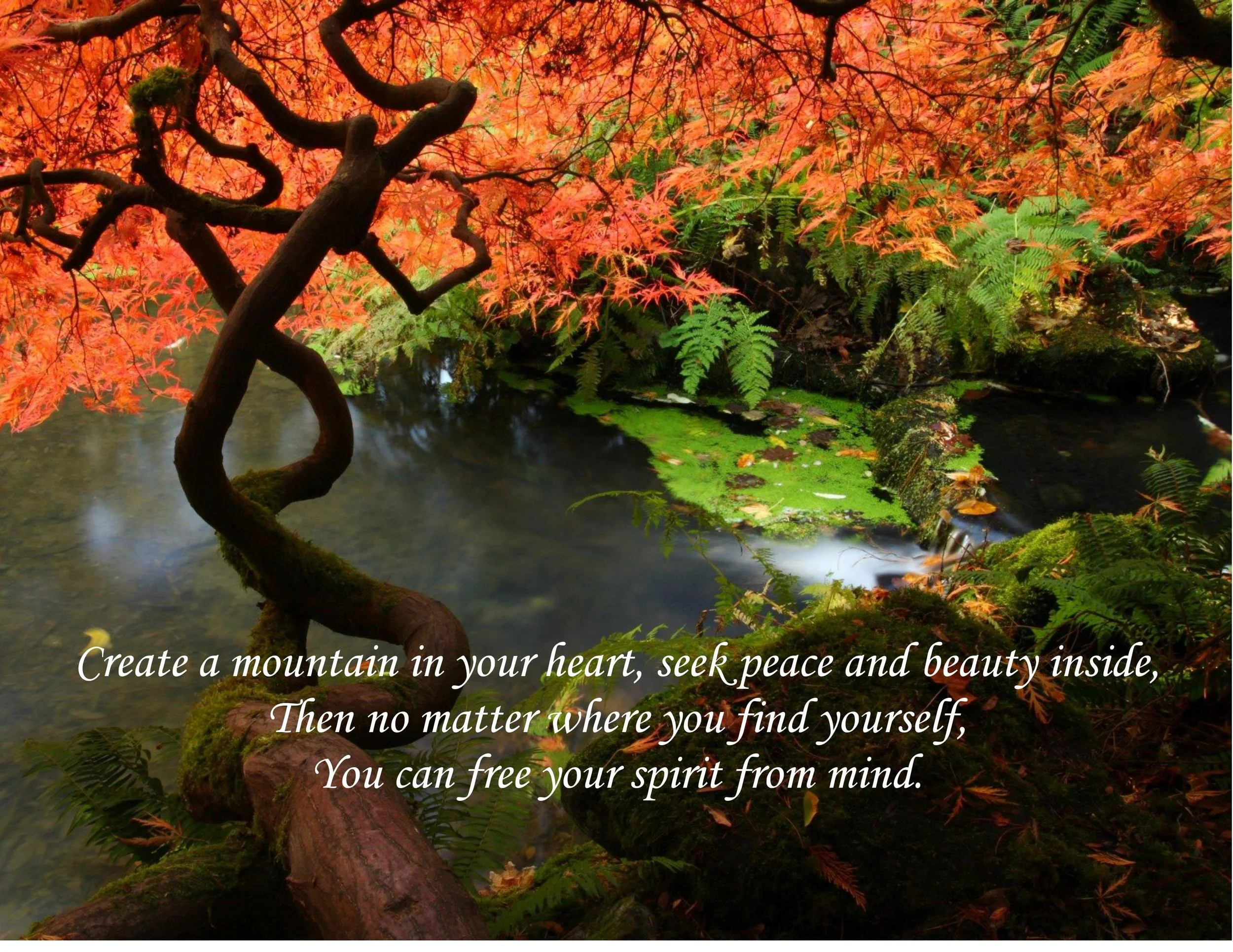 Create a Mountain in Your Heart.jpg