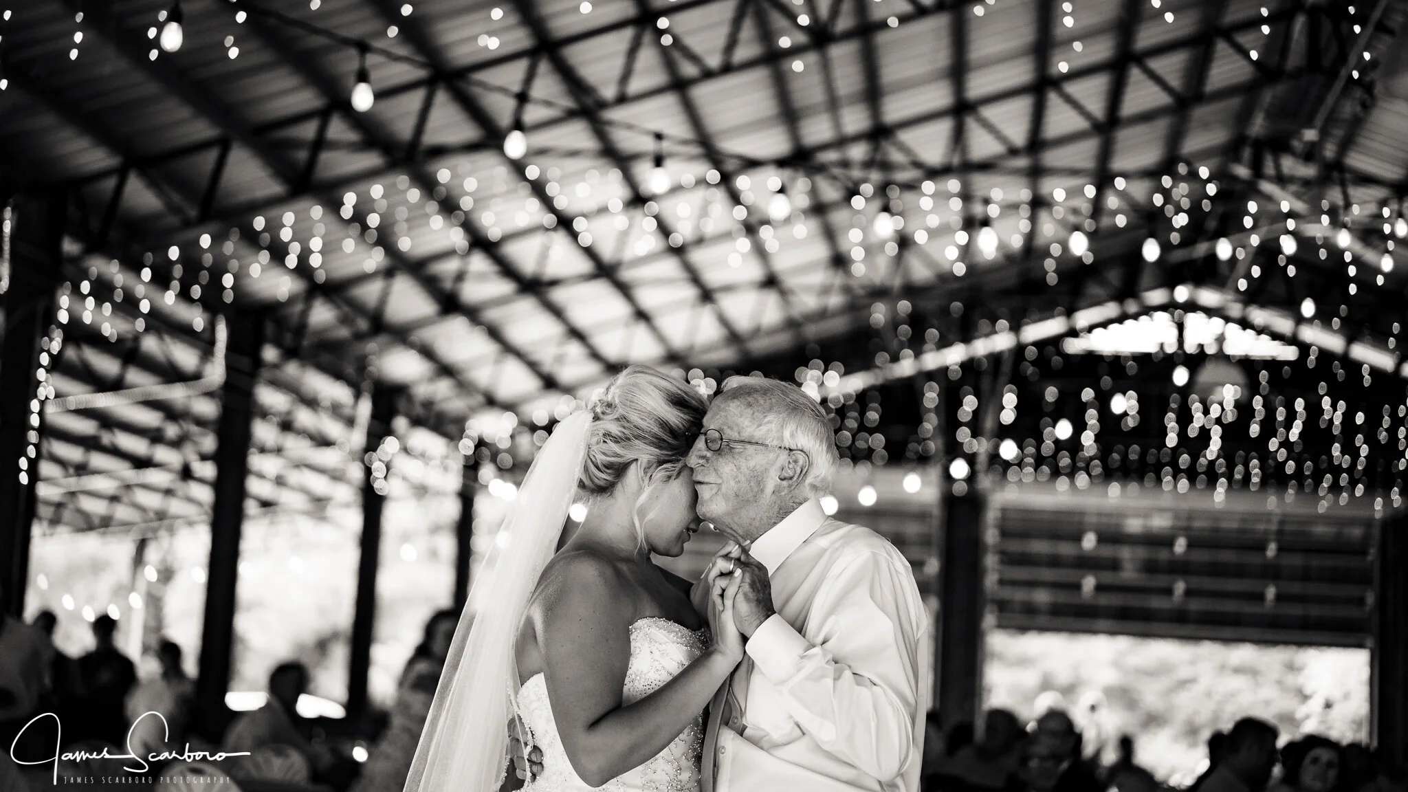 Kristin & Kale's Wedding Sneek Peak-Reception-13.JPG