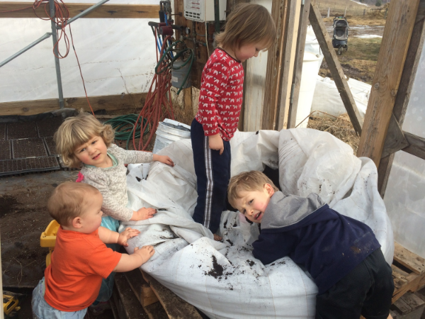 potting soil party!