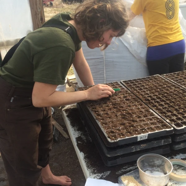 Sunshine and GROWING time!