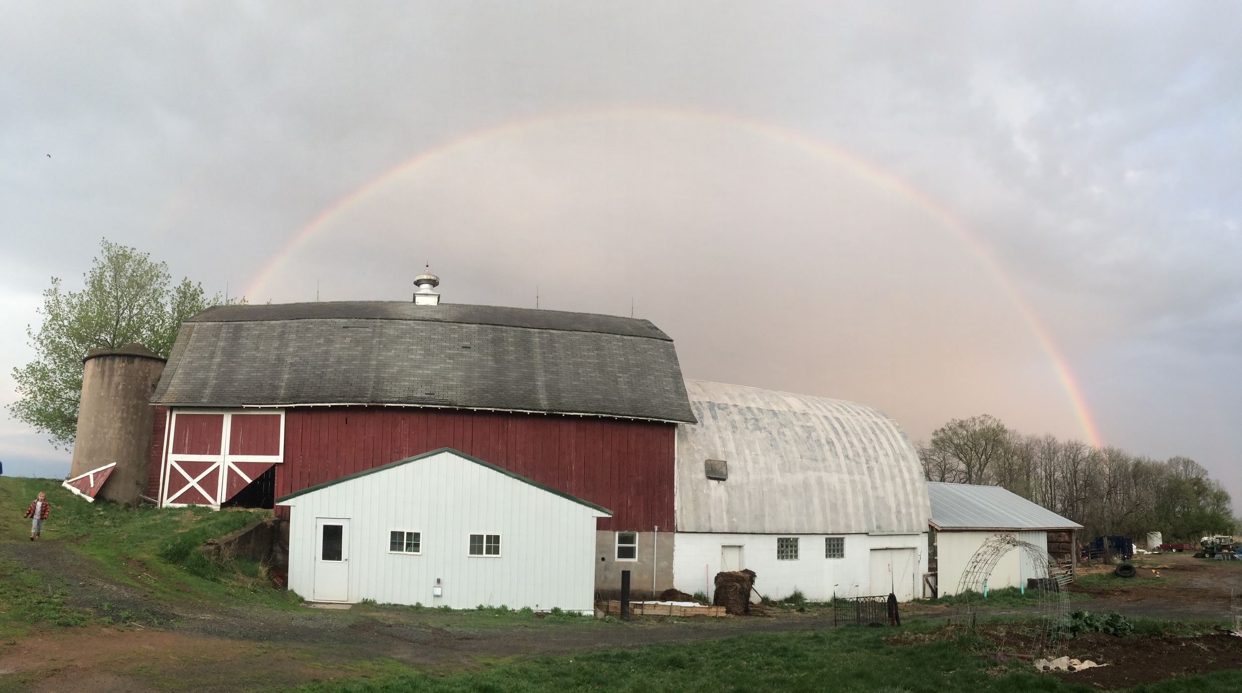  beautiful rainbow over the farm 