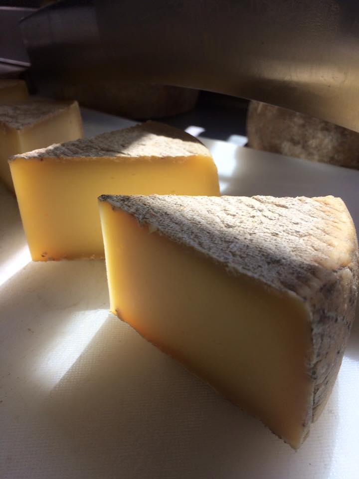  photogenic cheese 