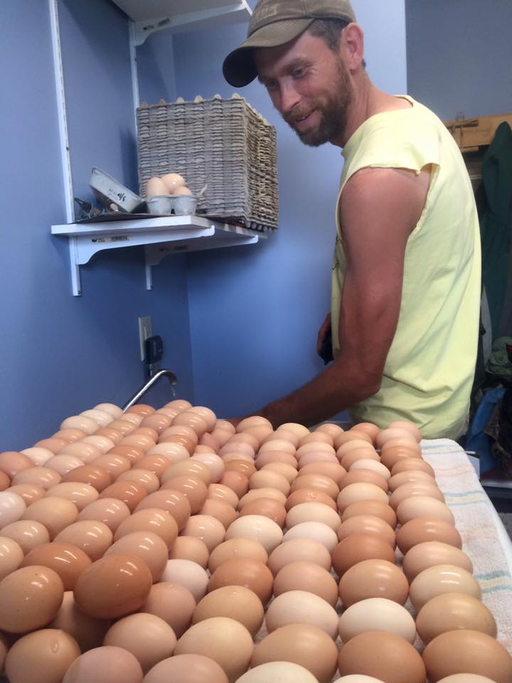  Sam is on egg washing duty this week. &nbsp;That's a lot of eggs to wash! 