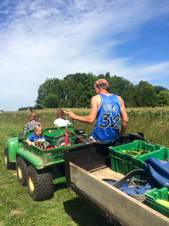  bringing in the harvest 