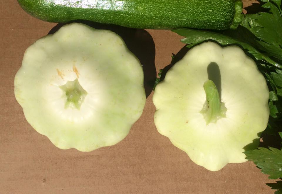  What are these flying saucer things?&nbsp; Patty pan squash!&nbsp; Use as you would zucchini or summer squash. 