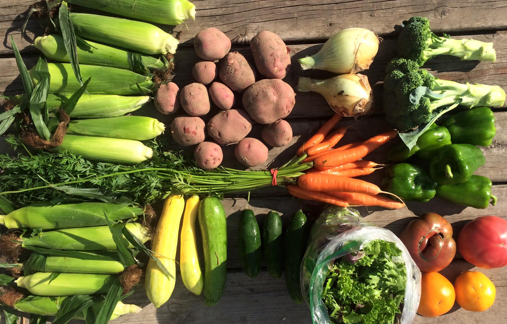lots of yum! 
