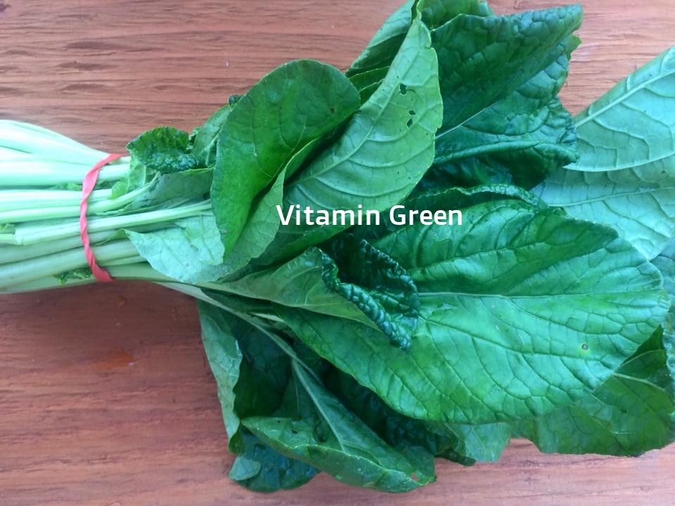 vitamin green