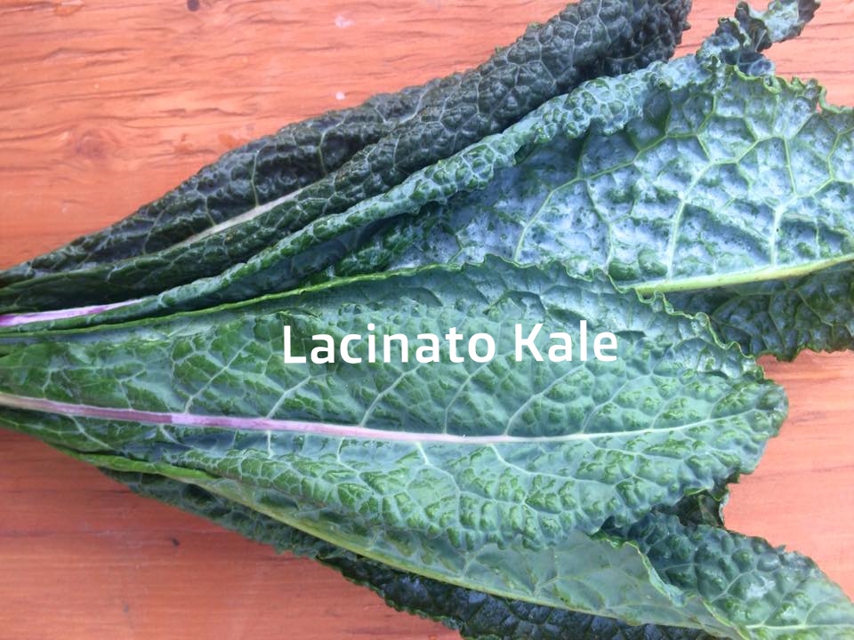 kale