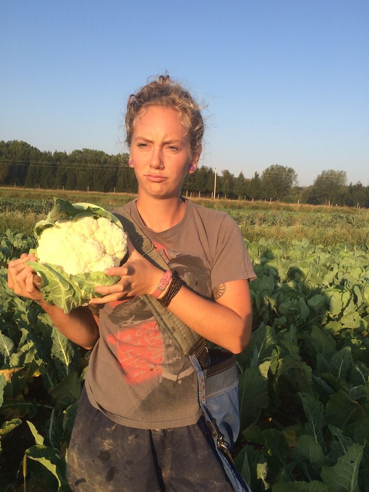  Haley and the cauliflower 