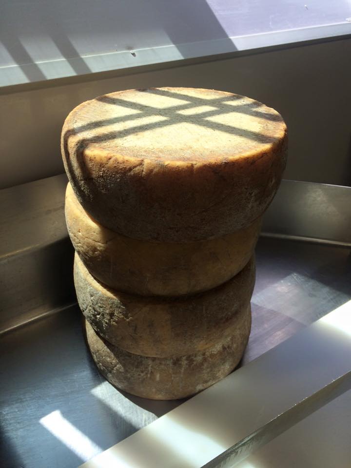 cheeseshadows.jpg
