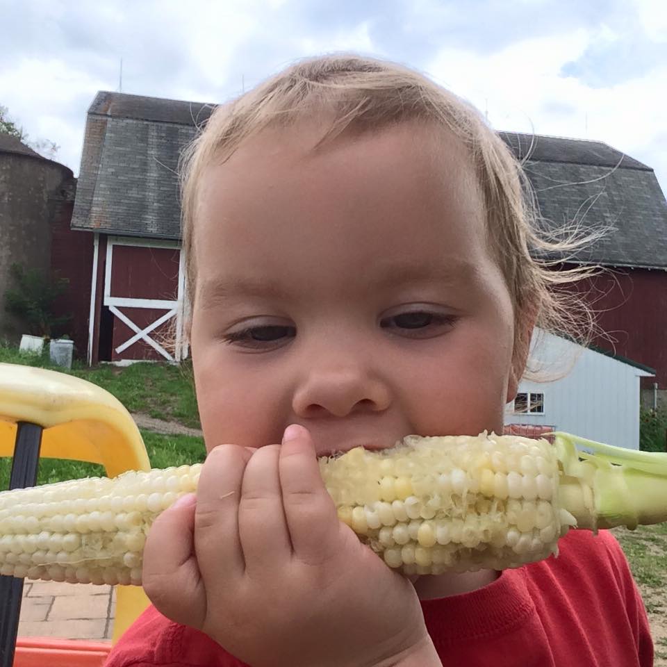  Sadie's enjoying the first sweet corn of the season.&nbsp; 
