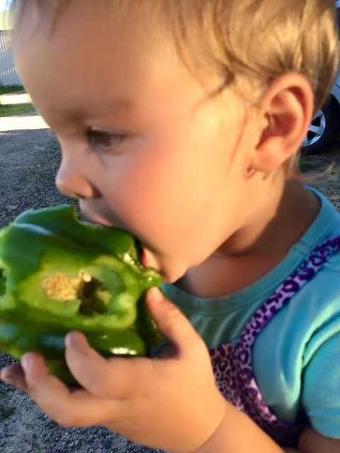  veggie loving kid! 