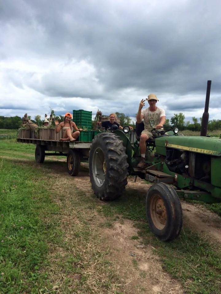  What's on that wagon? 