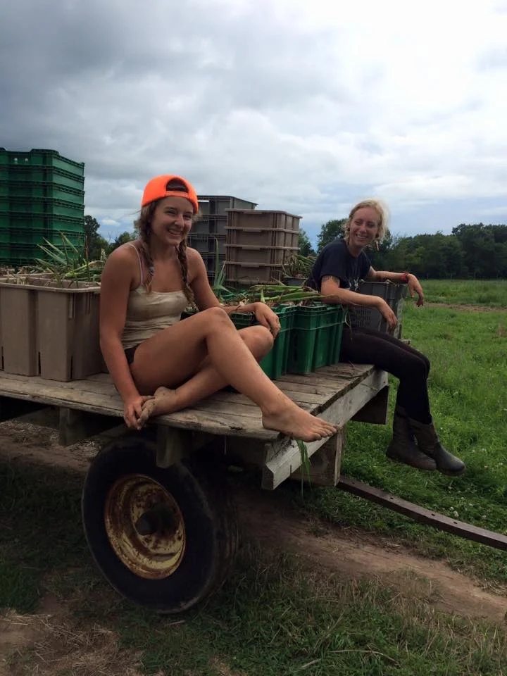  hard workers and a beautiful harvest of... 