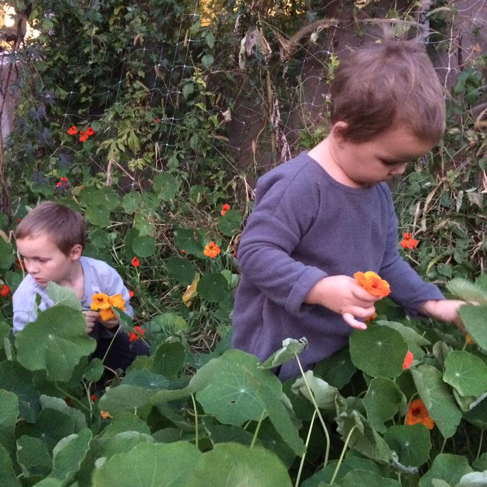  and the stars of the farm 