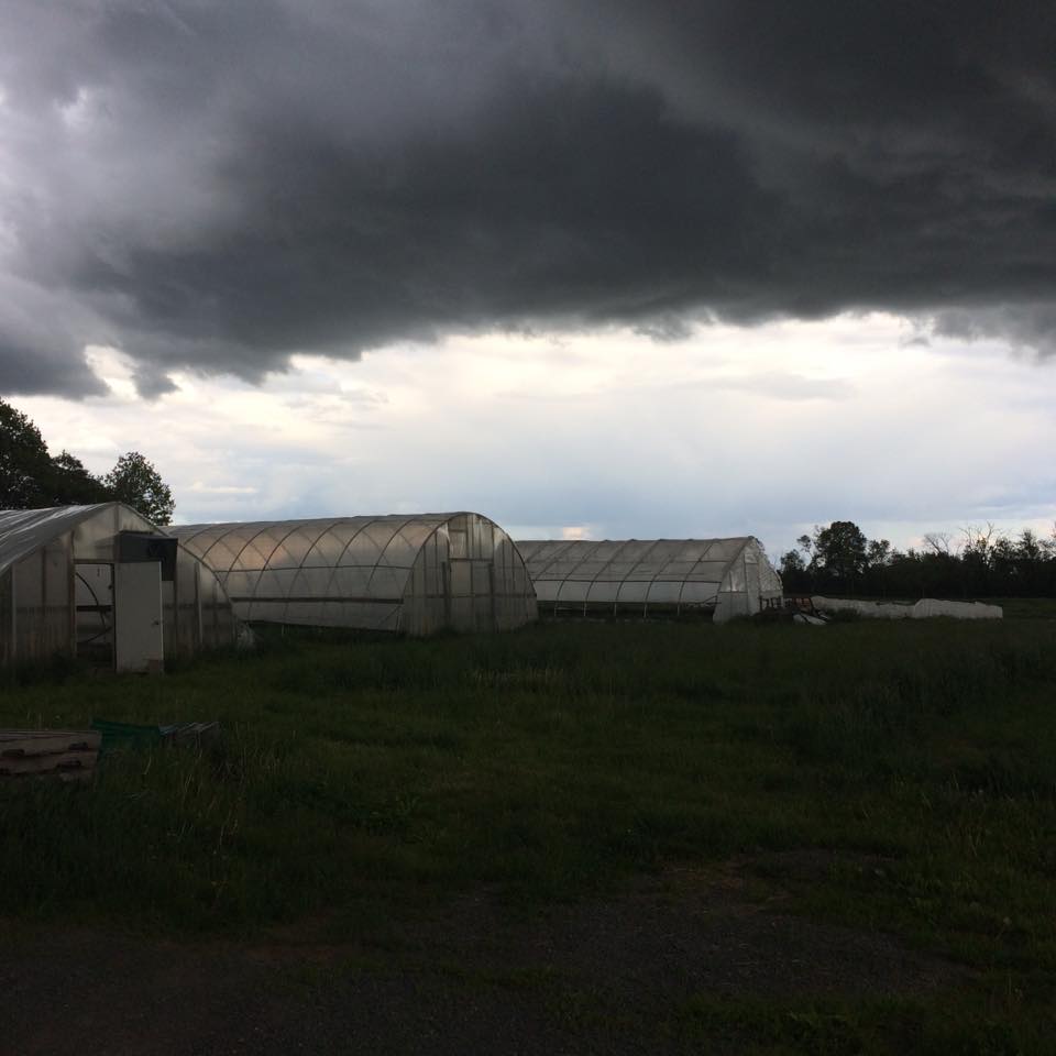 This Spring a big rain cloud parked itself over the farm