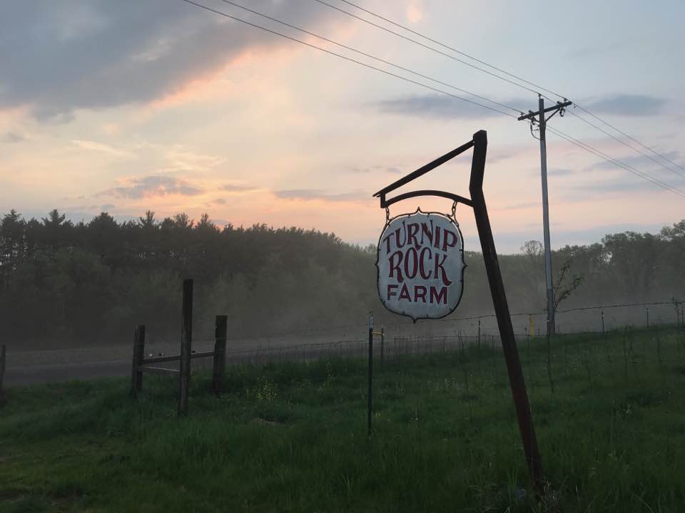 Welcome to Turnip Rock!