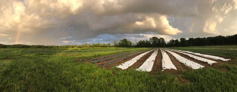  more rainbows over our beautiful farm. &nbsp;Pictures by Jeanne 