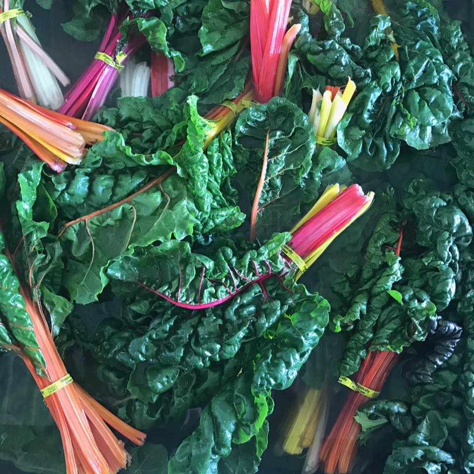  rainbow chard! &nbsp; 