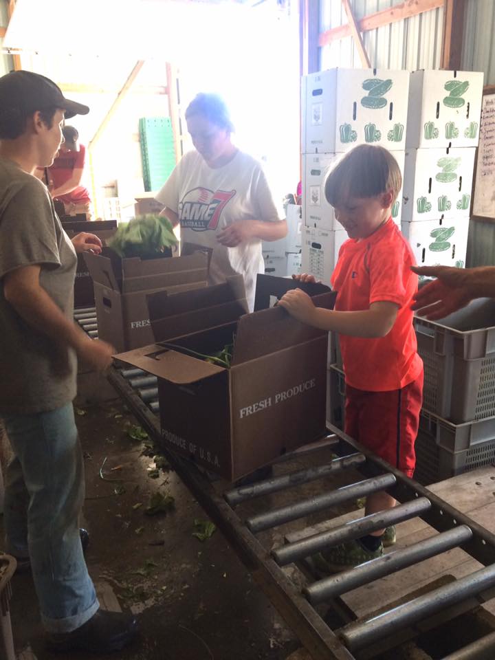  box packer in training 