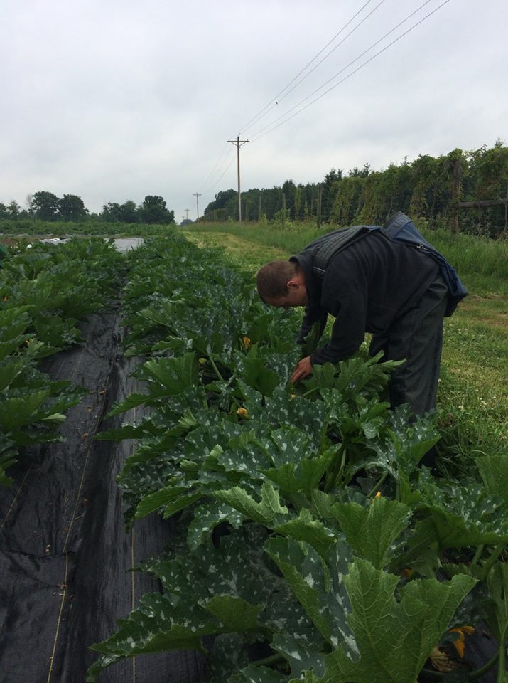  Andrew picking 