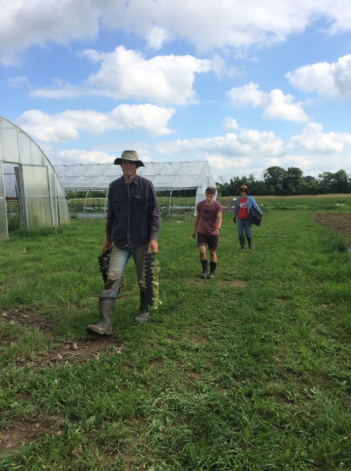  evening commute on the farm! 