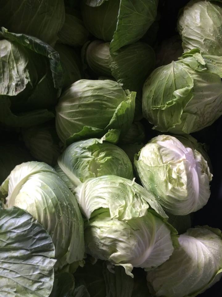  cabbages 