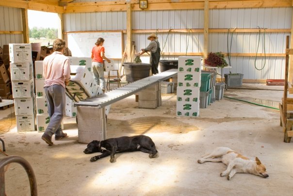  2009 in New Auburn in the pack shed.  Season 1 of Turnip Rock Farm 