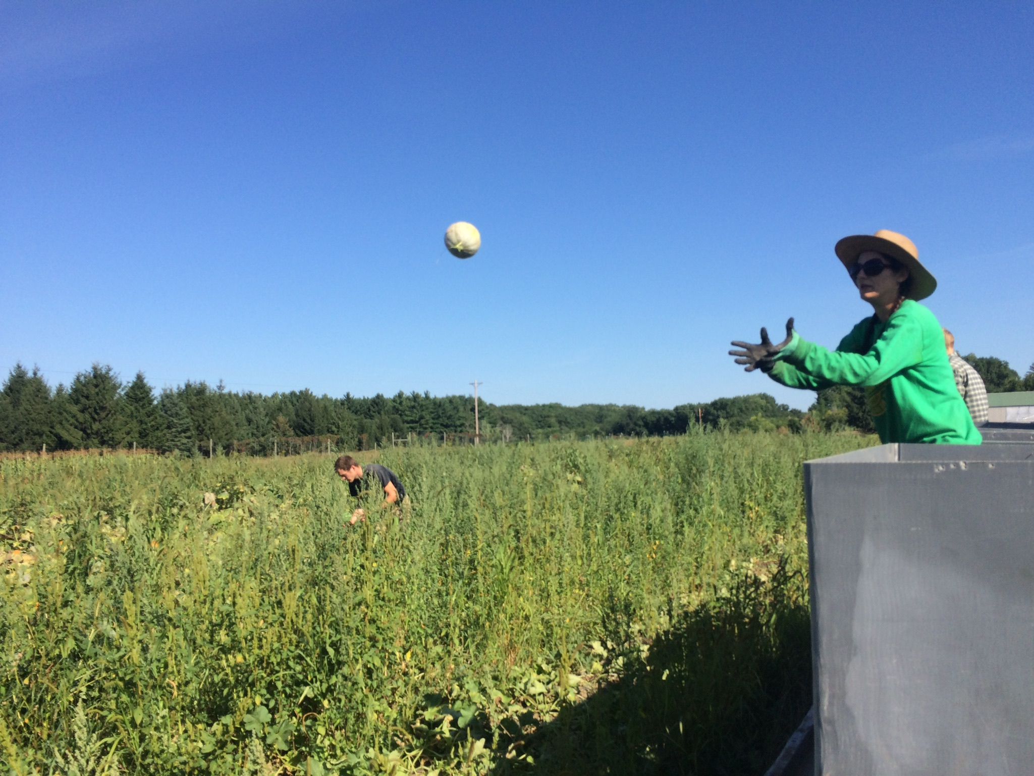  Melon Catch! 